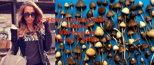 прущий лед Заволжье