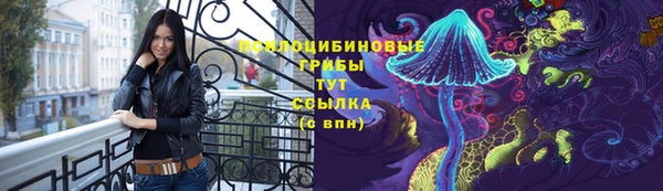 марки nbome Заводоуковск